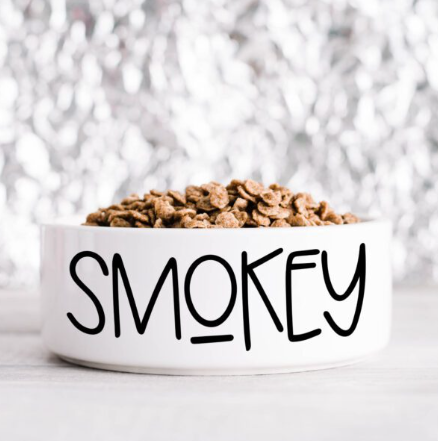 Playful Text Pet Bowl
